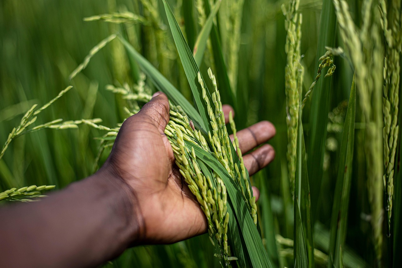 Brochettes de Boeuf Burundi
