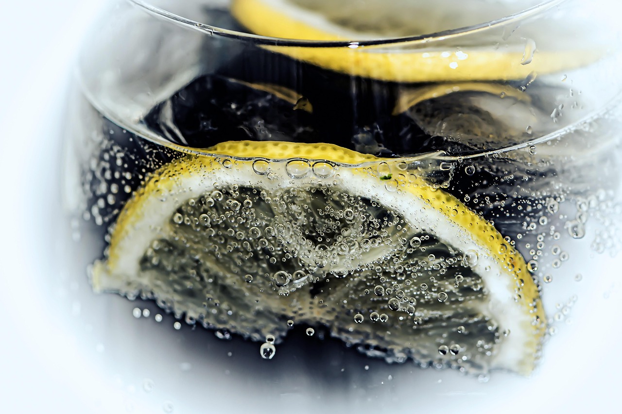 Hemingway Gin & Tonic